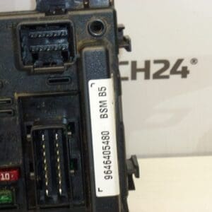 DELPHI BSM B5 Citroën Peugeot 9646405480