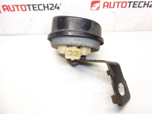 Corne de corne avec Citroen C4 6236G3
