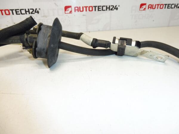 Câble de liaison + pôle dans moteur Citroën Peugeot 1484991080 5642Y3
