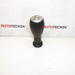 Heads Sensodrive Citroën Peugeot 2403Z2