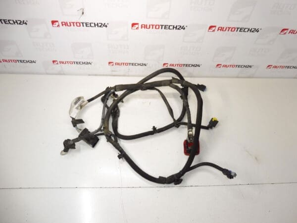 Plus bundle Citroën C -lysee Peugeot 301 1.6 9676421380 9808241580