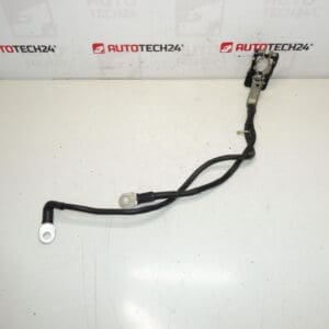 Un paquet positif pour la batterie Citroën Peugeot 1612229980