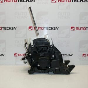 Changement automatique Citroën C1 Peugeot 107 89451-52020 89451-52021