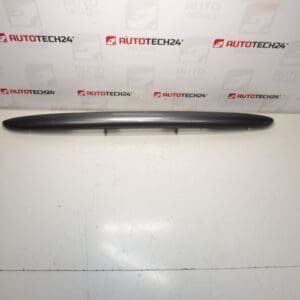 Poignée KTH Peugeot 206 9648068077 8742F6