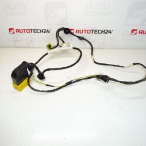 Harnais siège conducteur Peugeot 207 6545GC
